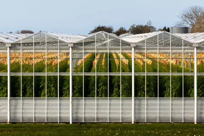 A long modern glasshouse in the sun